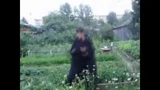 Чудо гашик