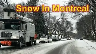 Snow in Montreal, Quebec, Canada 2022 | Winter in Canada 2022 | Relaxing Driving Tour