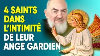 Ils étaient leurs fidèles messagers : pour l’aller et le retour !