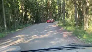 Лесной заказ