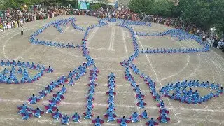 The Effects Of Mobile Phone Towers On Bird Species | Sports Day 2019 | SJC Tindivanam