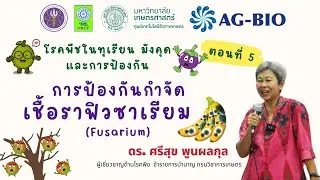 การป้องกันกำจัดฟิวซาเรียม