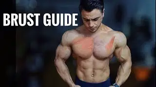 MASSIVE BRUST - SO TRAINIERST DU DEINE BRUST OPTIMAL - #CHESTGUIDE