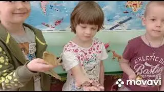 Земля - наш дом родной.