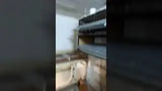 Обзор моего курятника!!!