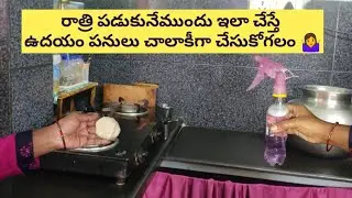 night kitchen cleaning / మీ కిచెన్ లోకి బొధింకలు వస్తున్నాయా అయితే ఇలా చెయ్యండి /cleaning motivation