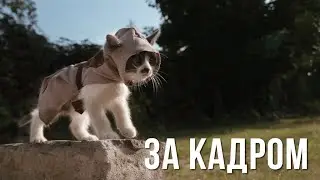 Making of Assassin's Kittens