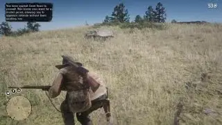 Hunting Stealthily