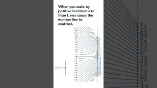 Why a negative times a negative is a positive? 