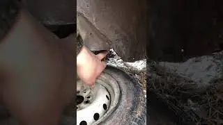 Усть-Кутские дороги 