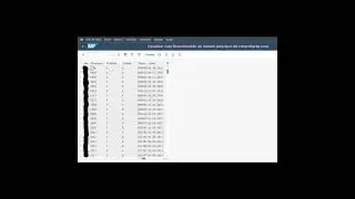 Solucion error SAP 8A127 de numeracion automatica de Argentina
