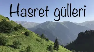 Hasret gülleri | Muziksiz Ilahi