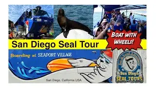 San Diego Seal Tours #SanDiego #SEALtour