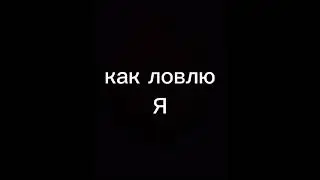 13 августа 2023 г.