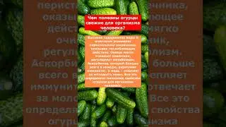 Чем полезны огурцы свежие для организма человека