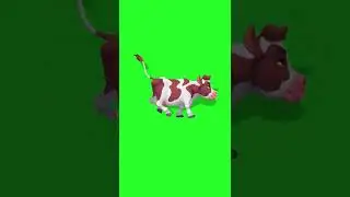 RUNNING COW Green Screen Video Chrome Key Animation Green Screen Corner Joy Children Kids Animals