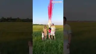 Салют на гендер пати - определение пола ребёнка фейерверком 
