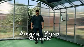 013. Атака. Удар. Основы