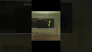 The robot escaped from the leather host!