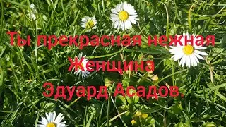 Ты прекрасная, нежная женщина.  Эдуард Асадов.