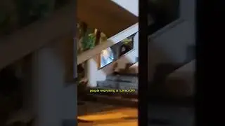 It Followed Him Home.. 