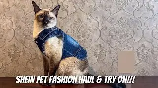SHEIN Pet Fashion Haul - Stylish Cat clothes Unboxing & Try-On!!! @SHEINOFFICIAL
