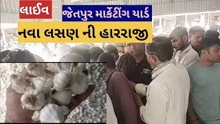 નવા લસણ ની હારરાજી લાઈવ જેતપુર માર્કેટીંગ યાર્ડ તા 26.07.2023 / Live Lasan in harraji Jetpur Yad