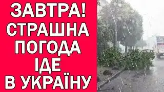 ПОГОДА НА ЗАВТРА 1 ВЕРЕСНЯ : ПОГОДА В УКРАЇНІ НА ЗАВТРА