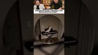 Заведи питомца говорили они 😅