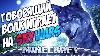 Говорящий волк играет на Sky Wars Minecraft