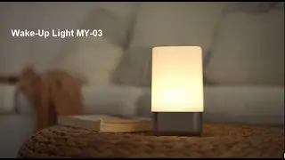 Wake Up Light Alarm Clock MY03
