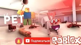 побег питомцев!!!►Pet escape roblox