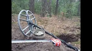 КУБЫШКА с МОНЕТАМИ на 80см    .Сигнум 7272м