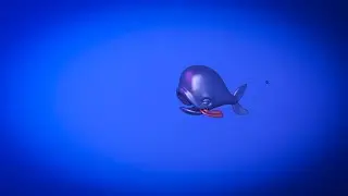 Whale Taste Shots