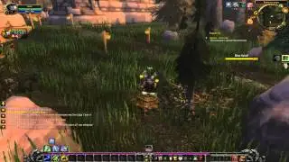 World of warcraft (Братья волчата) sirus часть 1