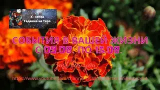 #События ближайшей недели. #Опасности #Планы #Цели #Мечты #Действия #Надежды #Перспективы #Желания