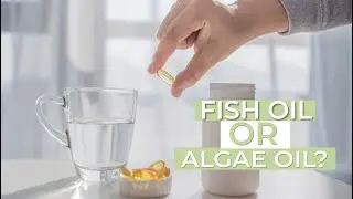 #212 Algae Oil VS Fish Oil - What Would I Do?