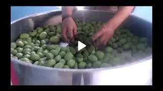 Raw mango Cutter | Mango Cutting machine | Raw Mango Cutting Machine