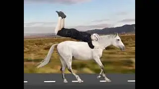 Horse race 2023 gone bad