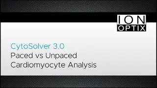 CytoSolver Fitting Paced and Unpaced Cardiomyocytes