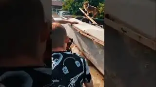 Потоп ,  экологическая катастрофа. #катастрофа #потоп