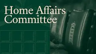 Football Policing: Aston Villa and Maccabi Tel Aviv - Home Affairs Committee