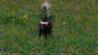 20180630 041243