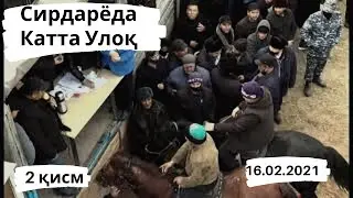 Сирдарёда катта улок (13.12.2020) 2-ҚИСМ