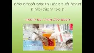 מצגת תזונה לכנרים חדש