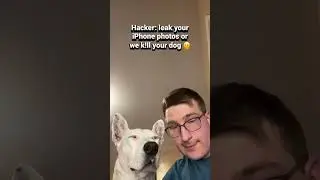 Be my guest 