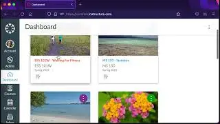 Exporting course materials from PowerSchool Schoology and importing into Instructure Canvas Jan 22
