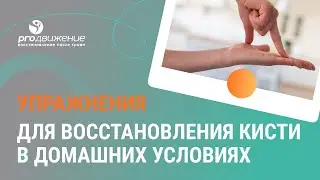 👨‍⚕️🤏  Упражнения для восстановления кисти в домашних условиях