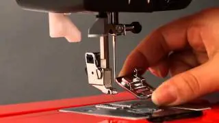 Changing the presser foot on the Oekaki Renaissance