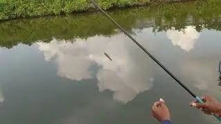 mancing real tanpa edit